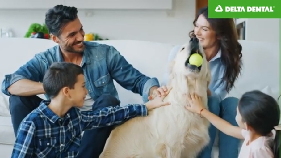People sitting in a room petting a dog with a tennis ball