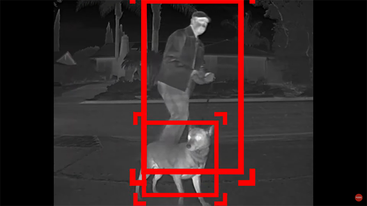 Person walking dog at night being detected by sensor from a car reversing