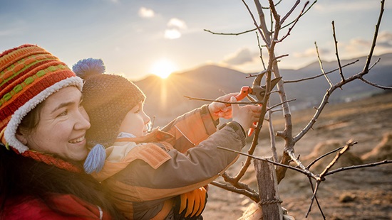 Silvia Viazankova and son trimming branches on a tree